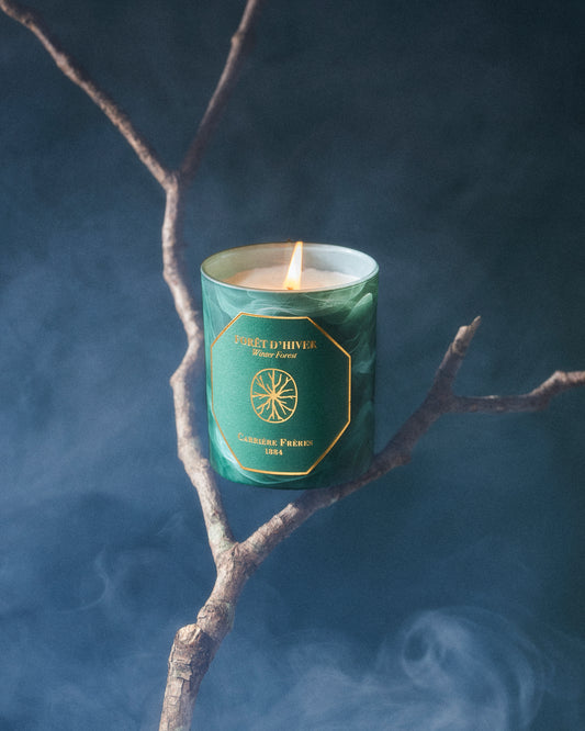Winter Forest Candle 185g