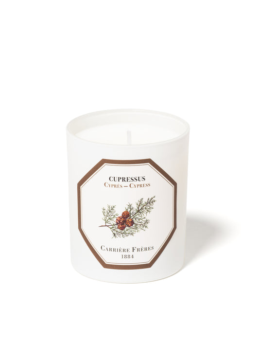 Cypress Candle 185g