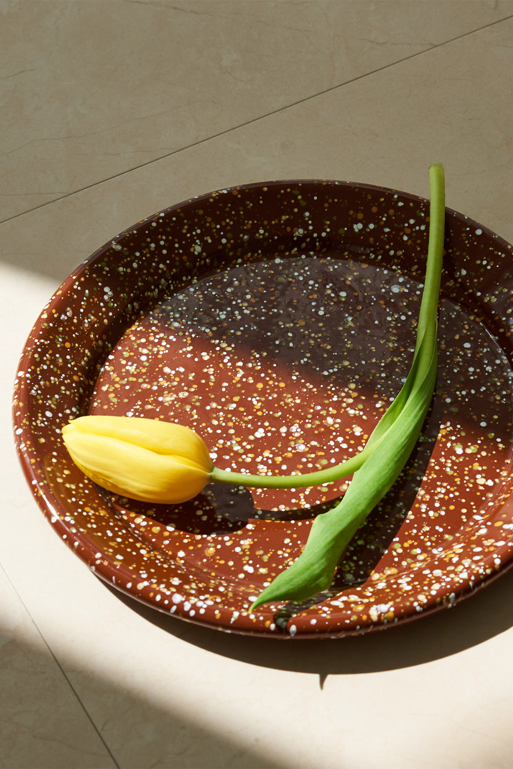 Milkyway Enamelware Plate 25cm (Montre Maple)