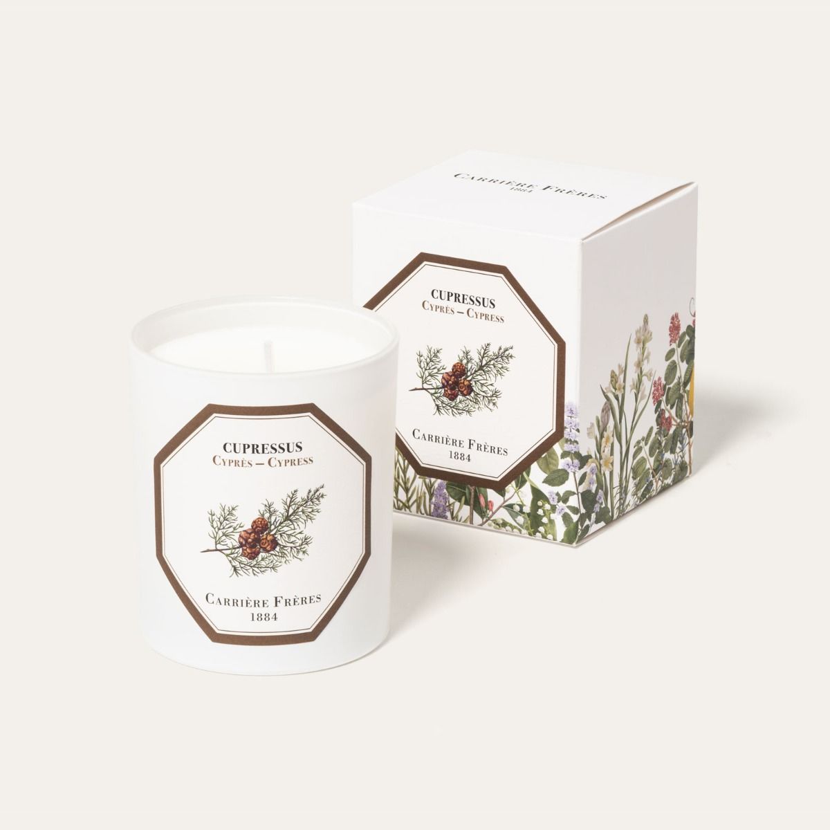 Cypress Candle 185g