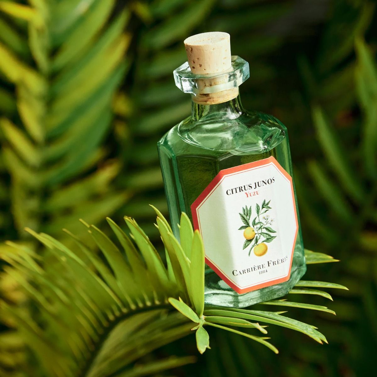 Yuzu Room Diffuser 190ml