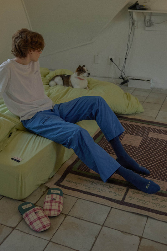 Paris Chill Socks (Blue)