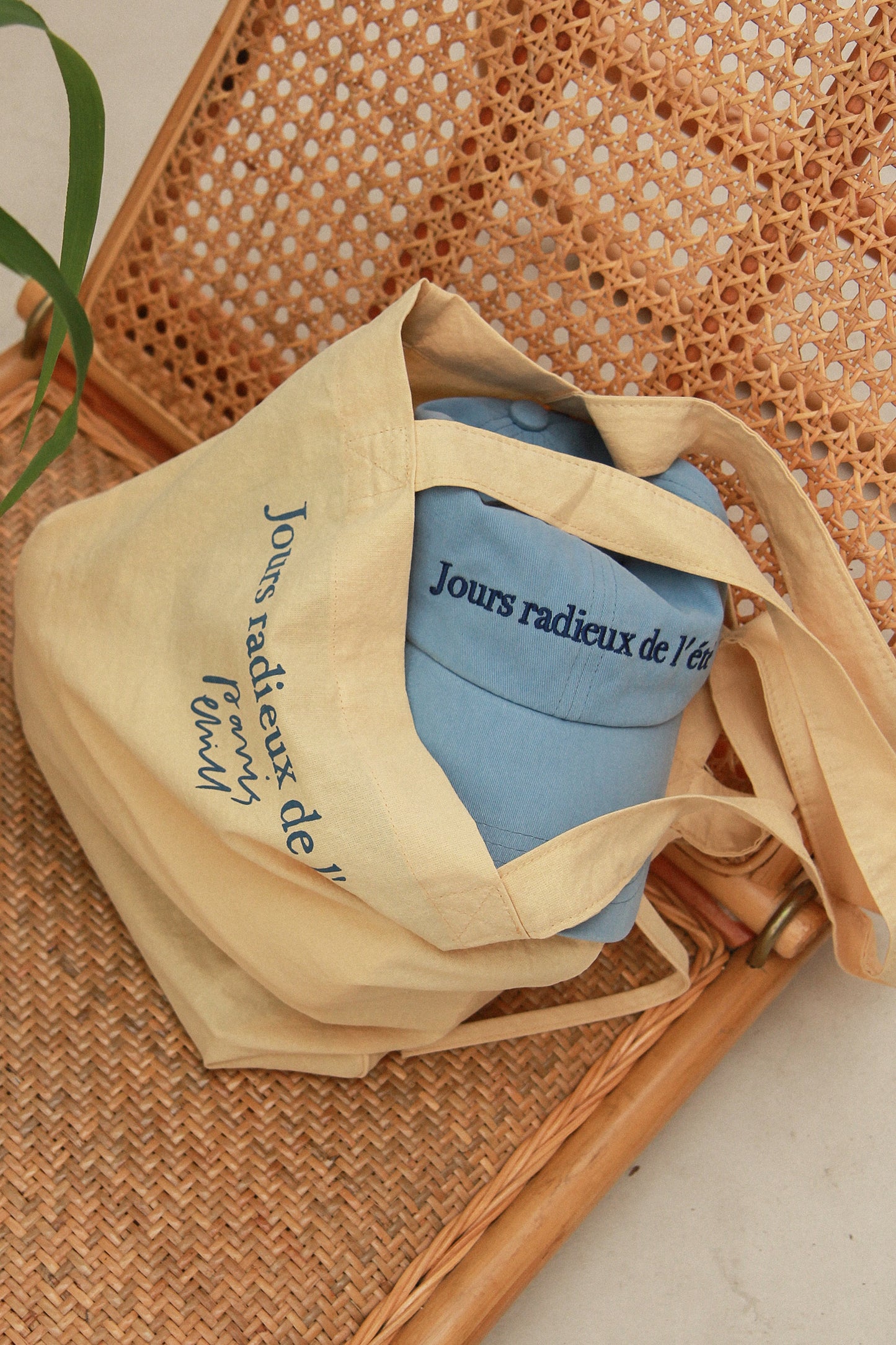 Voyage Baseball Cap (Sky)