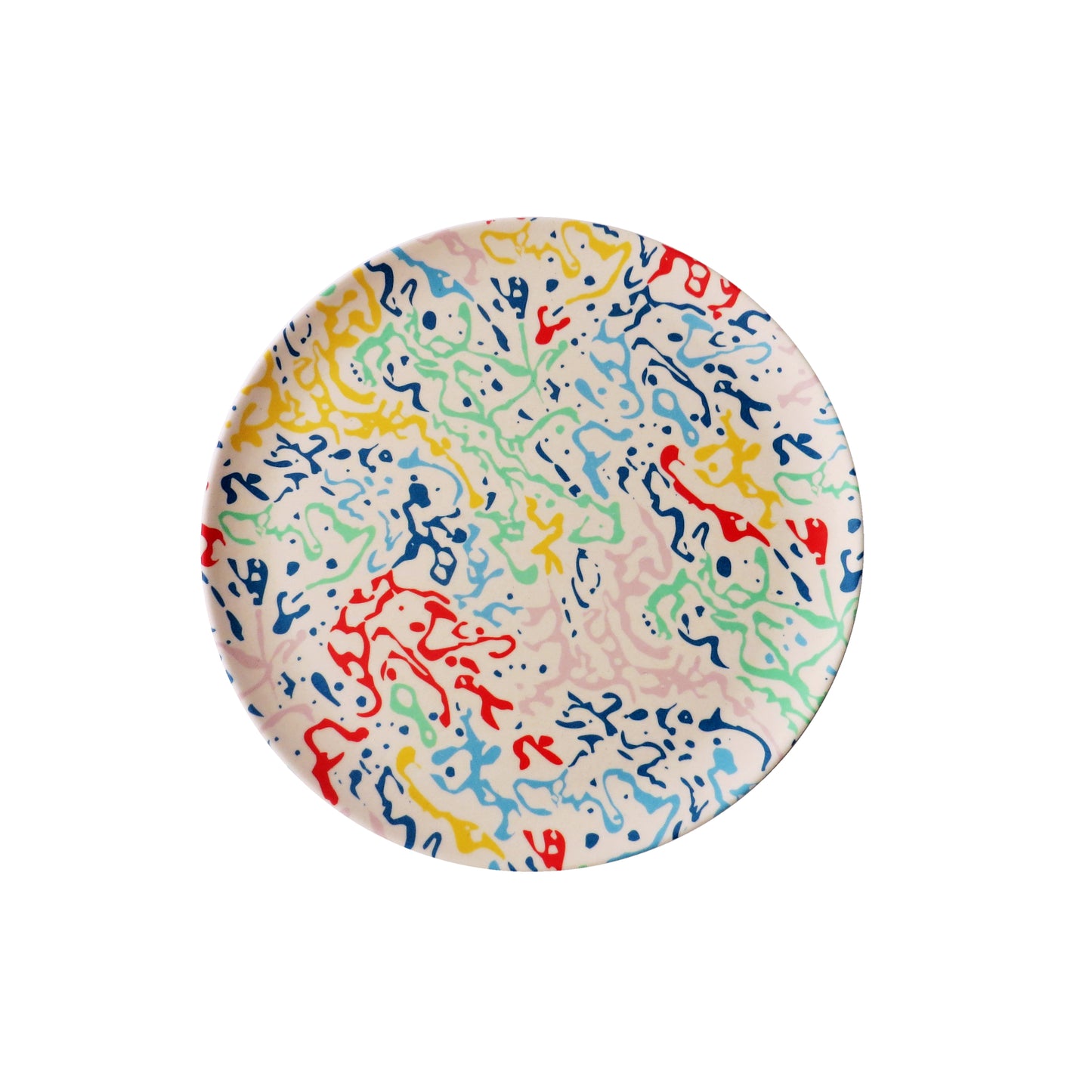 Carwash Dinner Plate 25cm