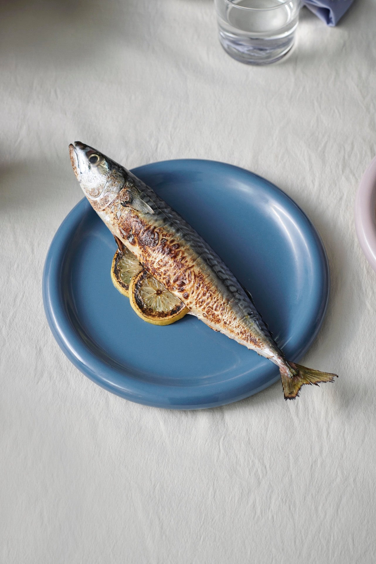 24cm HAY Barro terracotta dinner plate in dark blue serving a fish dish. 