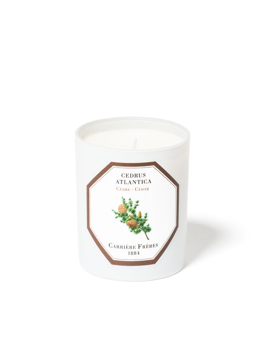 Cedar Candle 185g