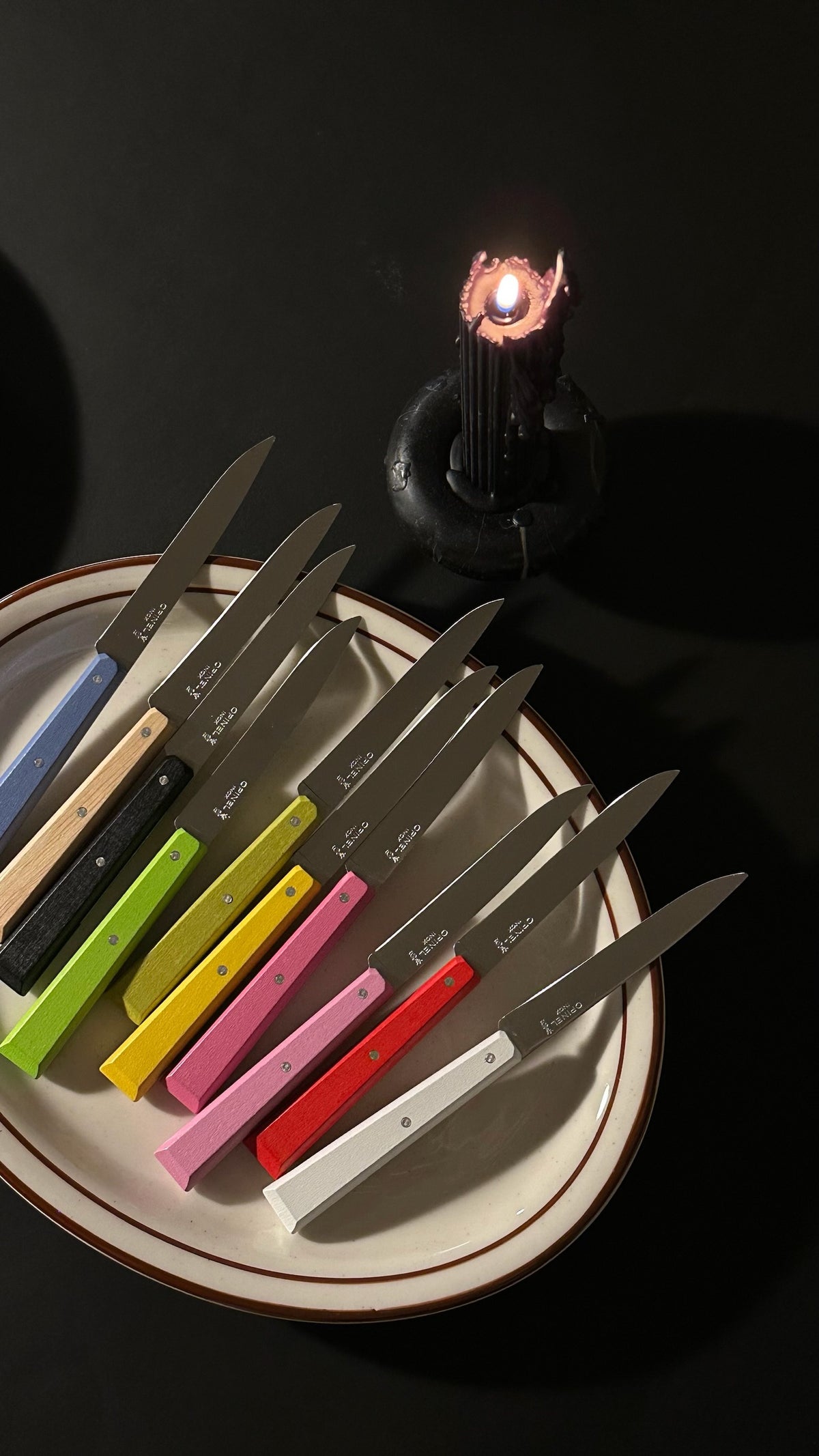 Opinel N125 table knives in assorted colorful wooden handles, placed on Tuxton oval platter.