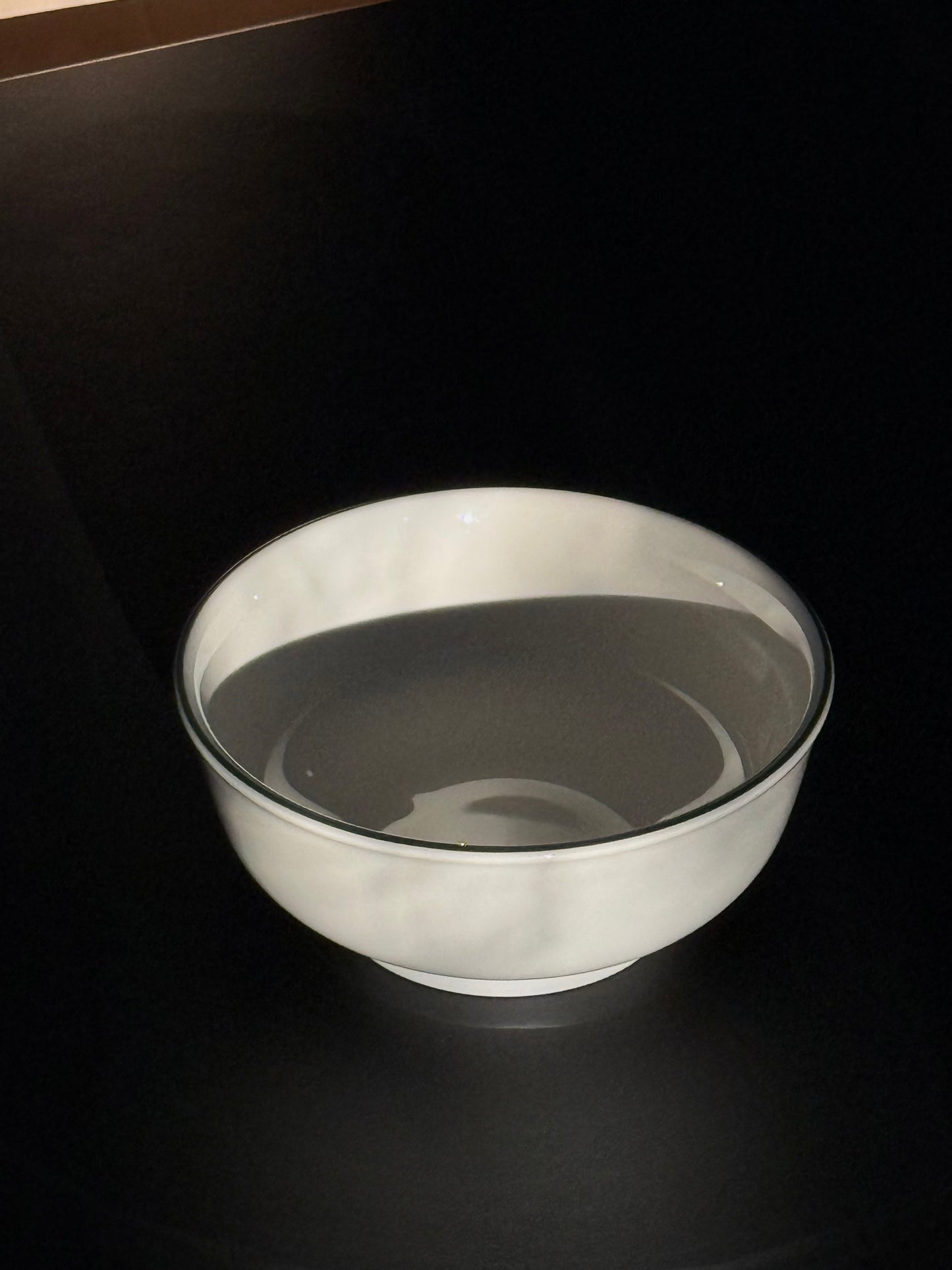Green Bay Noodle Bowl 1118ml