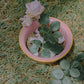 Offline Mode Bowl (Old Rose)