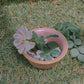 Offline Mode Bowl (Old Rose)
