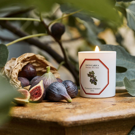 Fig Tree Candle 185g