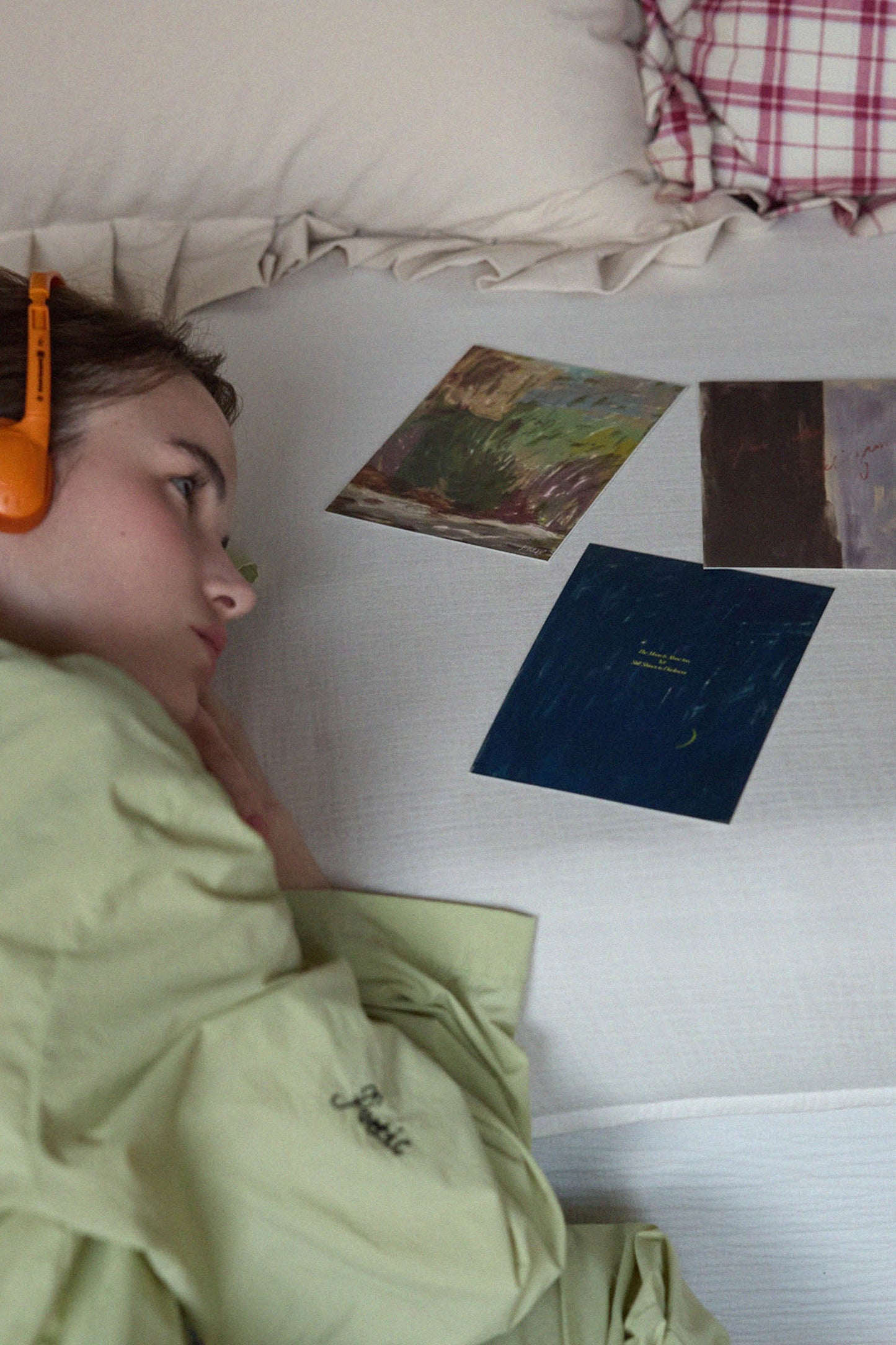 The Colors of Autumn Postcard