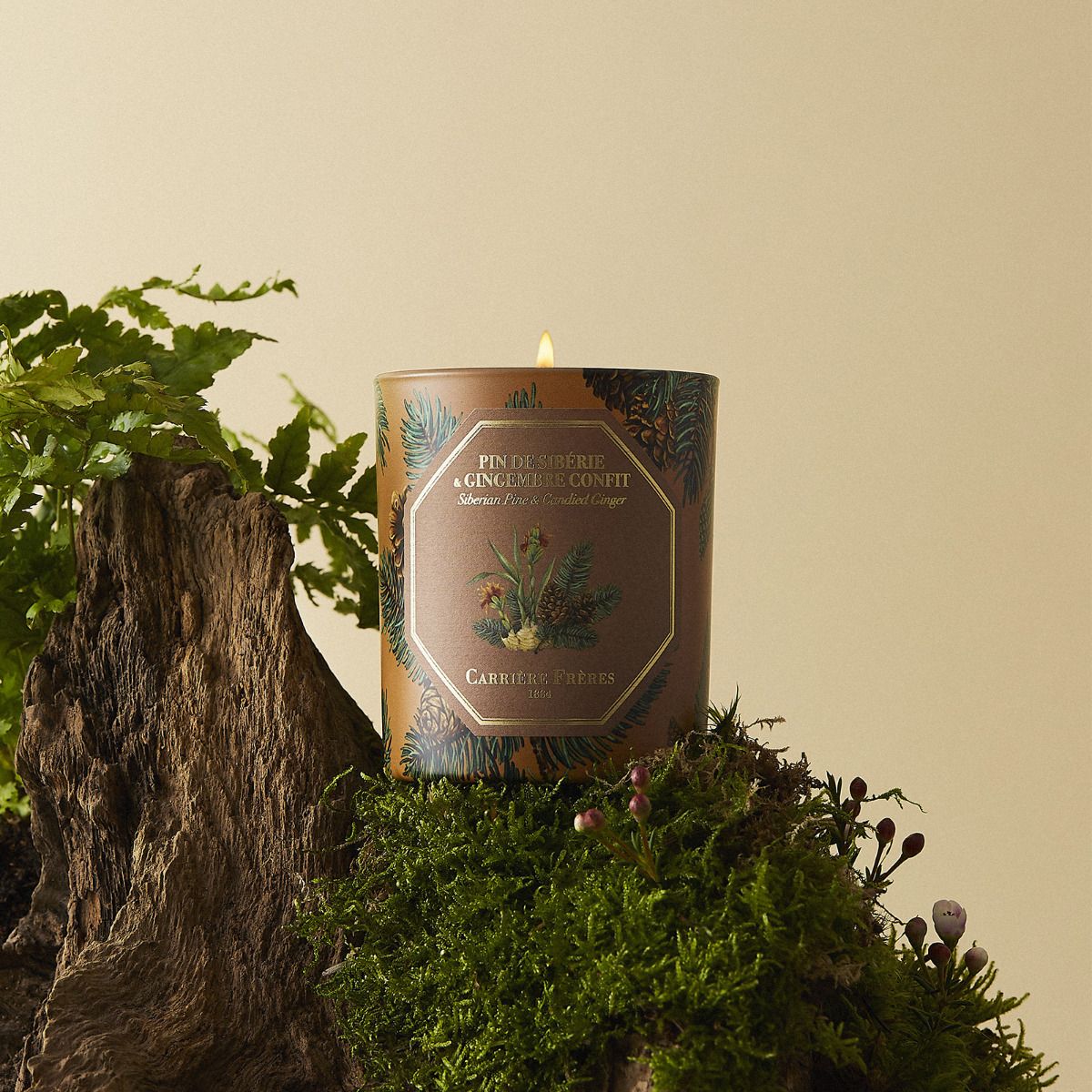 Winter Collection Pine & Candied Ginger Candle 185g