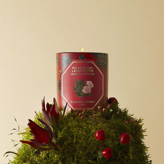 Winter Collection Pine & Winter Rose Candle 185g